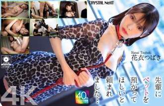 CRNX-254 [4K] Người cao cấp của tôi yêu cầu tôi chăm sóc thú cưng của anh ấy... Hanagoromo Tsubaki